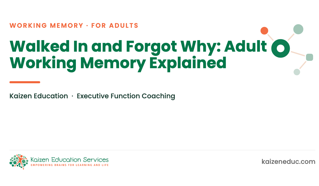 Walked In and Forgot Why: Adult Working Memory Explained